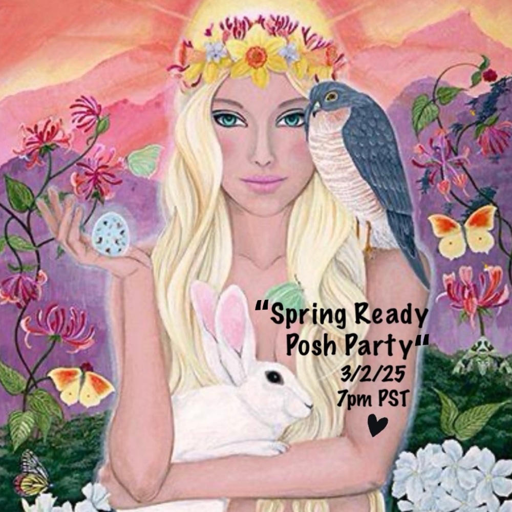 🦋☀️POSH PARTY!!🐰🩷